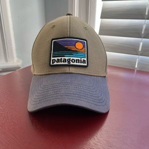 Patagonia Trucker Hat
